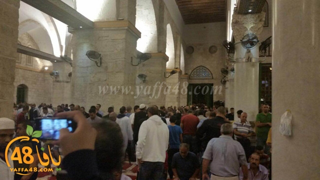 a7bab aqsaka (3).JPG